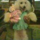 Aqui estoy luciendo el vestidito y la muñeca q me regalaron